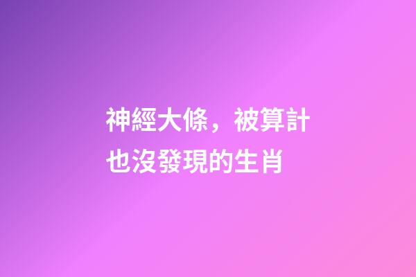 神經大條，被算計也沒發現的生肖