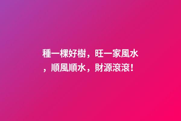 種一棵好樹，旺一家風水，順風順水，財源滾滾！