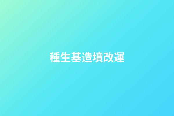 種生基造墳改運