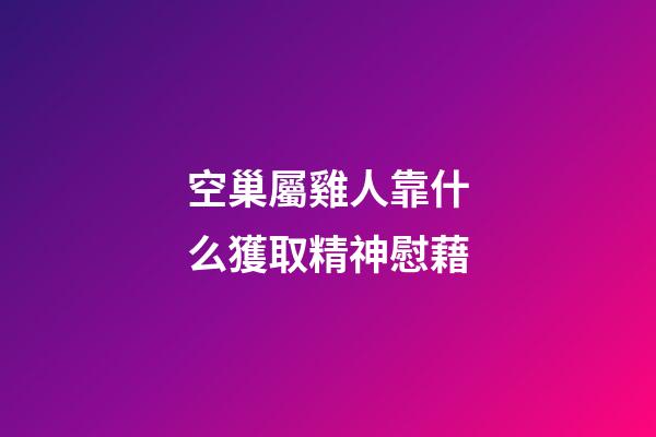 空巢屬雞人靠什么獲取精神慰藉
