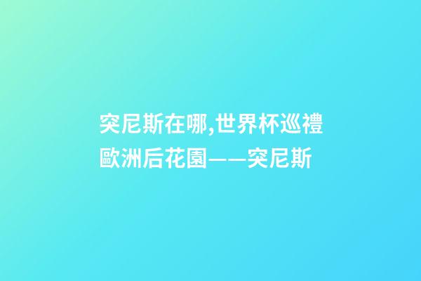 突尼斯在哪,世界杯巡禮歐洲后花園——突尼斯-第1張-觀點(diǎn)-玄機(jī)派