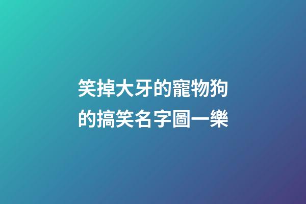 笑掉大牙的寵物狗的搞笑名字圖一樂