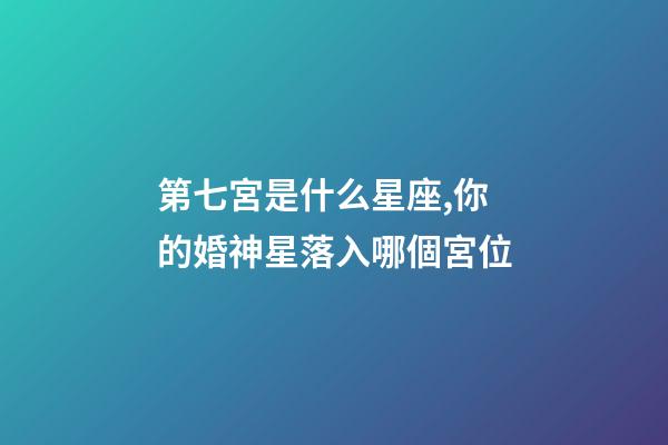 第七宮是什么星座,你的婚神星落入哪個宮位-第1張-觀點-玄機派