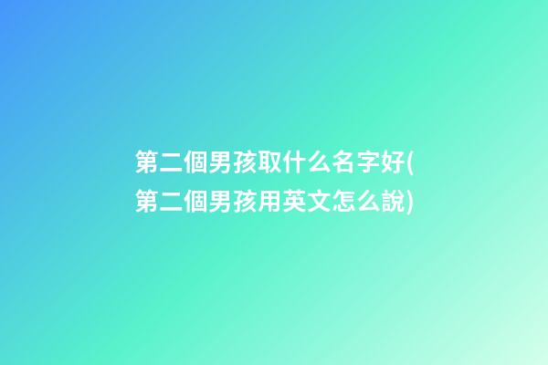 第二個男孩取什么名字好(第二個男孩用英文怎么說)