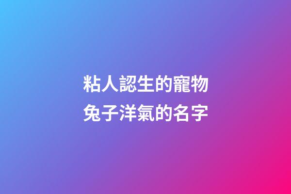 粘人認生的寵物兔子洋氣的名字