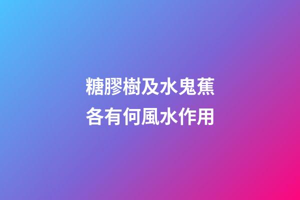 糖膠樹及水鬼蕉各有何風水作用?