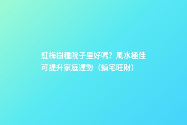 紅梅樹種院子里好嗎？風水極佳可提升家庭運勢（鎮宅旺財）