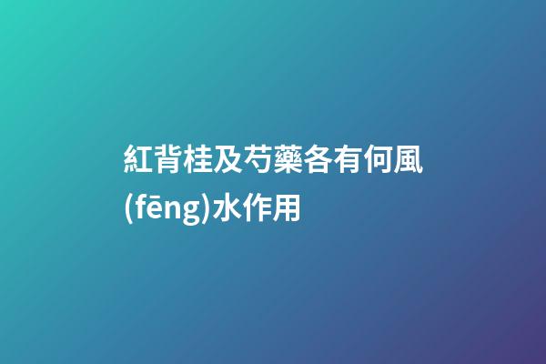 紅背桂及芍藥各有何風(fēng)水作用?