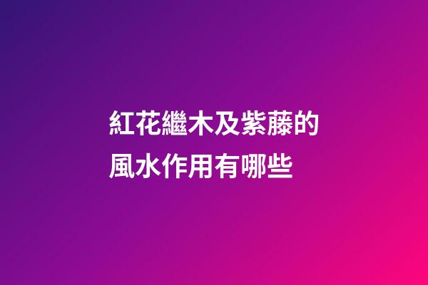 紅花繼木及紫藤的風水作用有哪些?