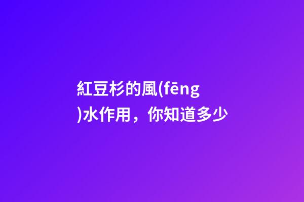 紅豆杉的風(fēng)水作用，你知道多少
