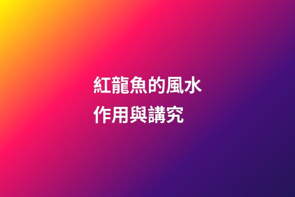 紅龍魚的風水作用與講究