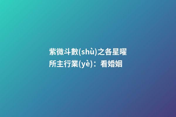 紫微斗數(shù)之各星曜所主行業(yè)：看婚姻