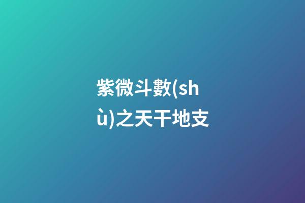紫微斗數(shù)之天干地支