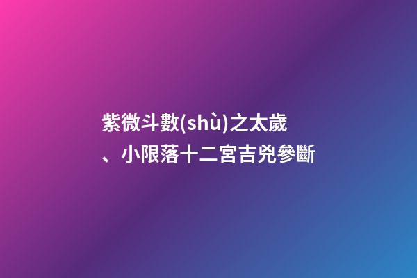 紫微斗數(shù)之太歲、小限落十二宮吉兇參斷