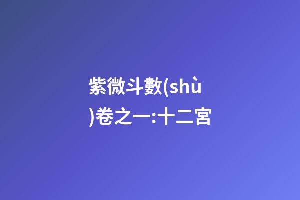 紫微斗數(shù)卷之一:十二宮