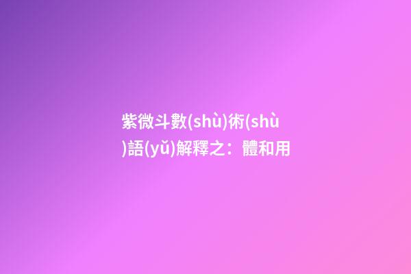 紫微斗數(shù)術(shù)語(yǔ)解釋之：體和用