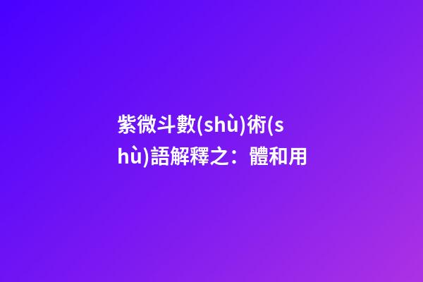 紫微斗數(shù)術(shù)語解釋之：體和用