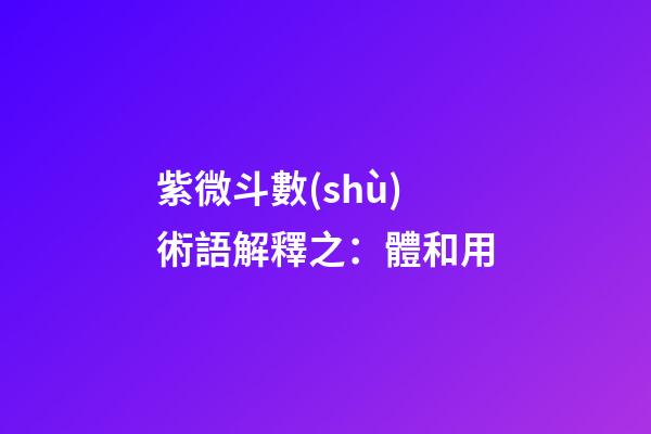 紫微斗數(shù)術語解釋之：體和用