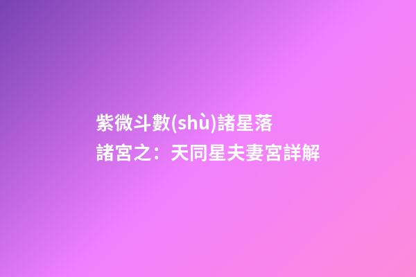 紫微斗數(shù)諸星落諸宮之：天同星夫妻宮詳解