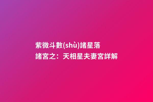 紫微斗數(shù)諸星落諸宮之：天相星夫妻宮詳解