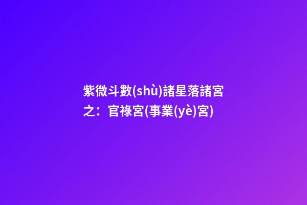 紫微斗數(shù)諸星落諸宮之：官祿宮(事業(yè)宮)