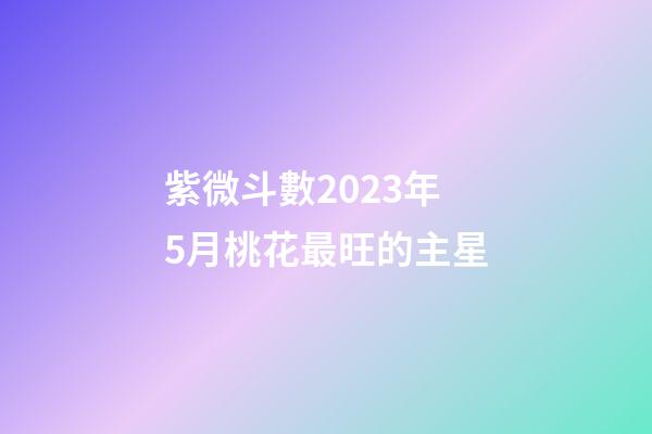 紫微斗數2023年5月桃花最旺的主星