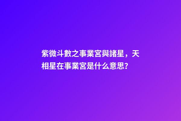 紫微斗數之事業宮與諸星，天相星在事業宮是什么意思？