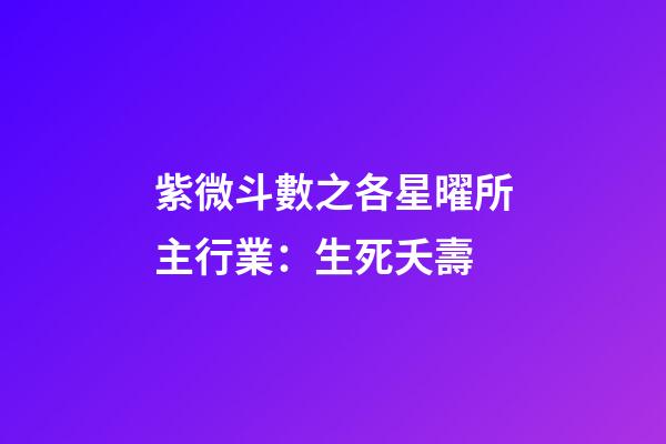 紫微斗數之各星曜所主行業：生死夭壽