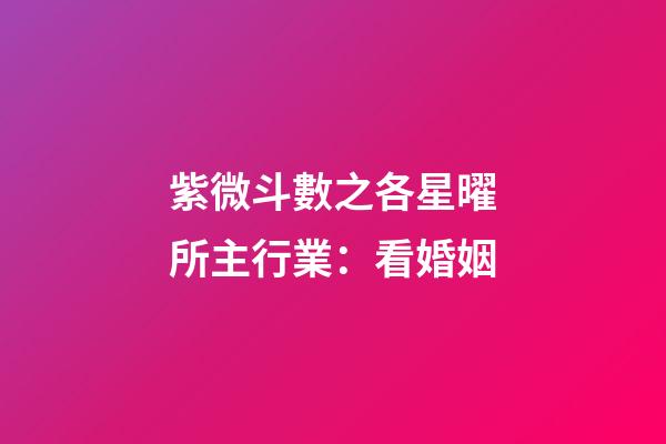 紫微斗數之各星曜所主行業：看婚姻