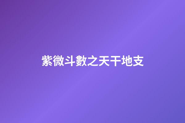 紫微斗數之天干地支