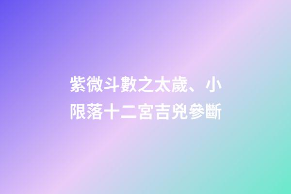 紫微斗數之太歲、小限落十二宮吉兇參斷