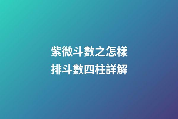 紫微斗數之怎樣排斗數四柱詳解