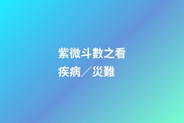 紫微斗數之看疾病／災難
