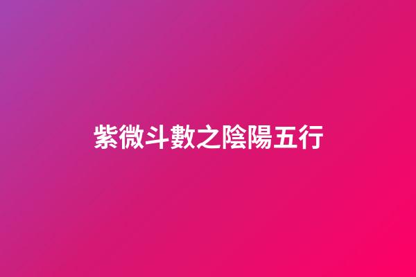 紫微斗數之陰陽五行