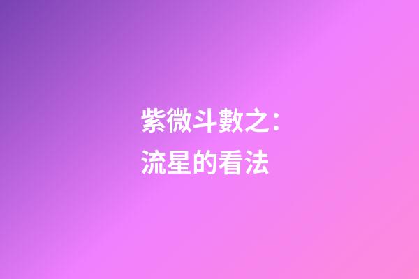 紫微斗數之：流星的看法