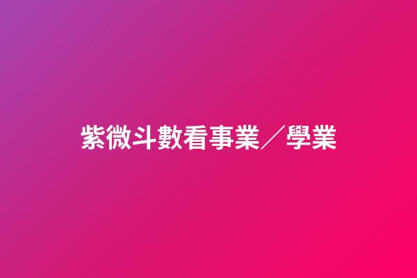紫微斗數看事業／學業