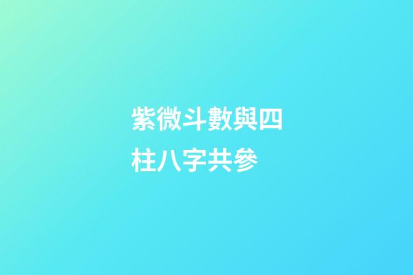 紫微斗數與四柱八字共參