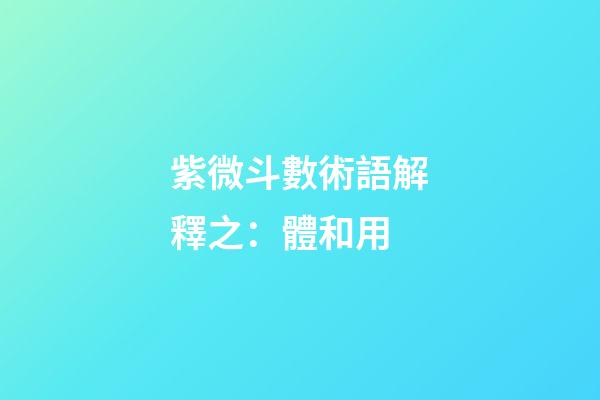 紫微斗數術語解釋之：體和用