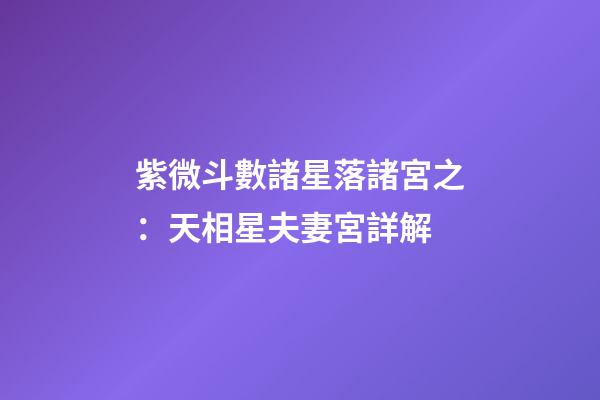 紫微斗數諸星落諸宮之：天相星夫妻宮詳解