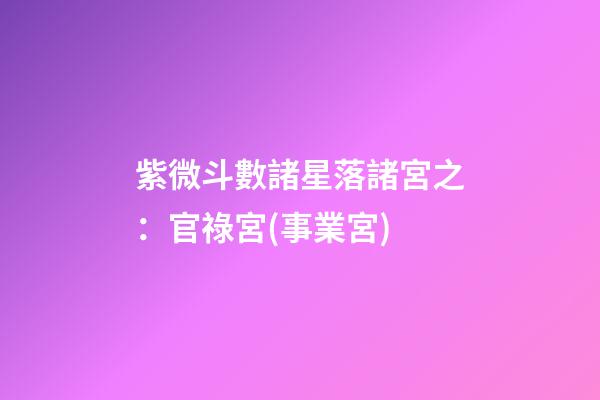 紫微斗數諸星落諸宮之：官祿宮(事業宮)