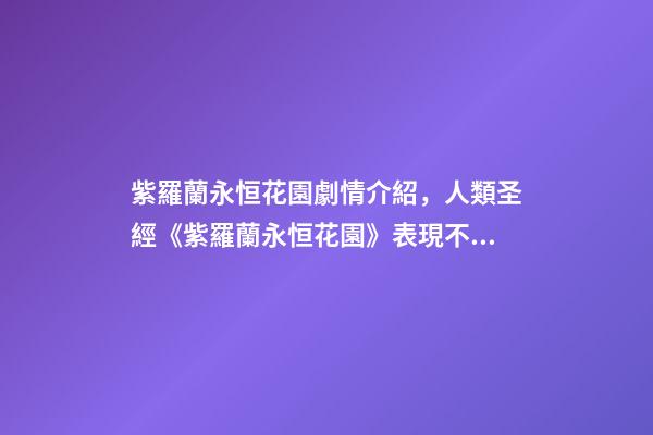 紫羅蘭永恒花園劇情介紹，人類圣經《紫羅蘭永恒花園》表現不盡人意-第1張-觀點-玄機派