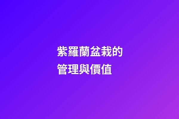 紫羅蘭盆栽的管理與價值