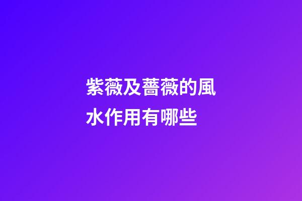 紫薇及薔薇的風水作用有哪些?