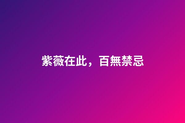 紫薇在此，百無禁忌