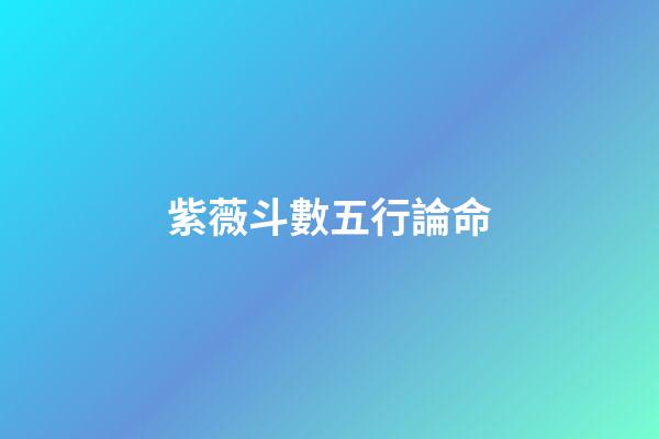 紫薇斗數五行論命