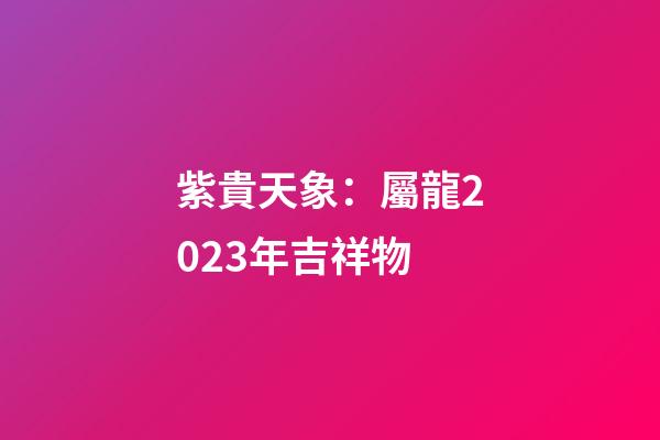 紫貴天象：屬龍2023年吉祥物