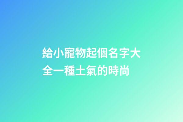 給小寵物起個名字大全一種土氣的時尚