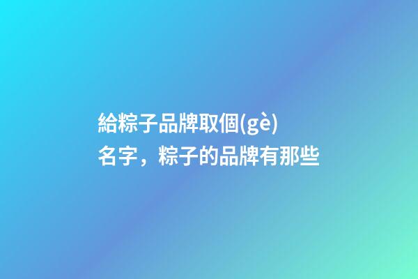 給粽子品牌取個(gè)名字，粽子的品牌有那些-第1張-商標(biāo)起名-玄機(jī)派