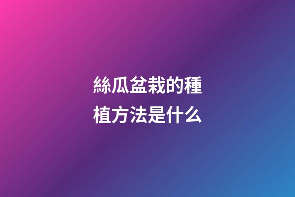 絲瓜盆栽的種植方法是什么