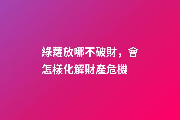 綠蘿放哪不破財，會怎樣化解財產危機